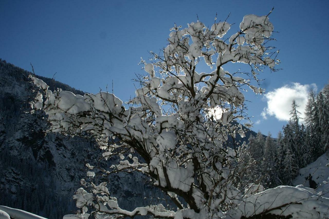 Des Alpes 2 Leilighet Canazei Eksteriør bilde